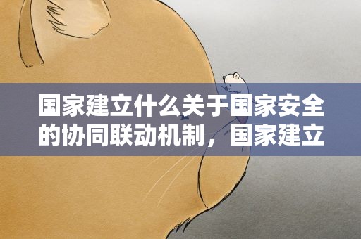 國家建立什么關于國家安全的協同聯動機制，國家建立什么關于國家安全的協同聯動機制?